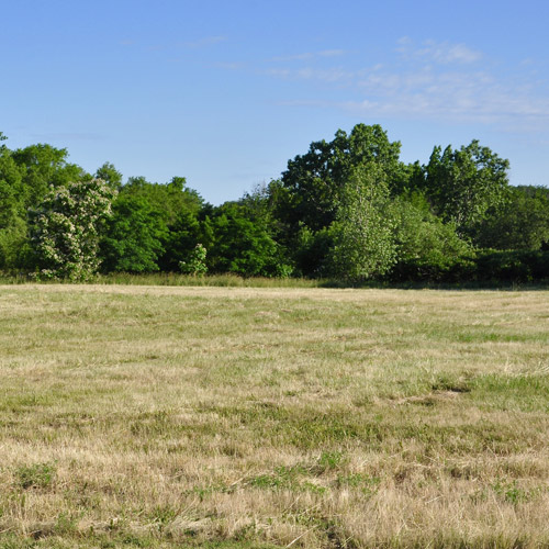 land-lot